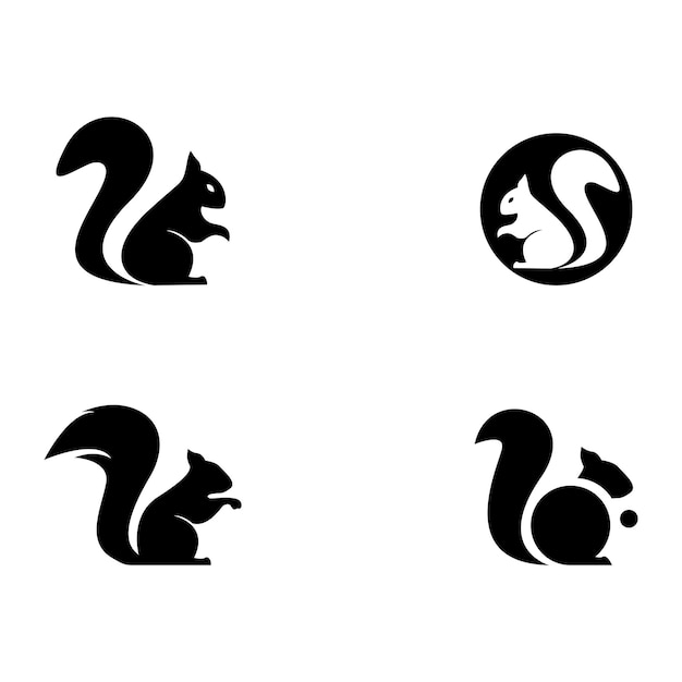 Squirrel logo vector icon illustration