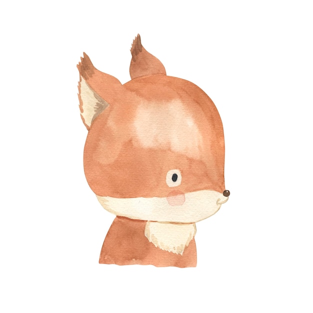 Squirrel watercolor illustration for kids