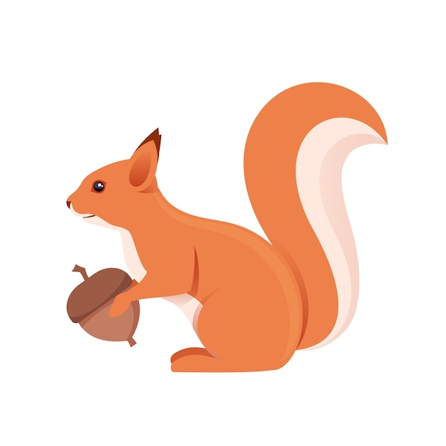 Squirrel with nut Animal design