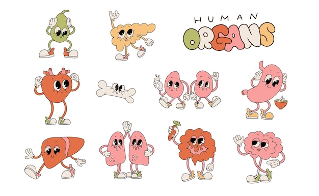 Ss retro cartoon cute organ characters set happy healthy human organs funny kidney lungs and brain s