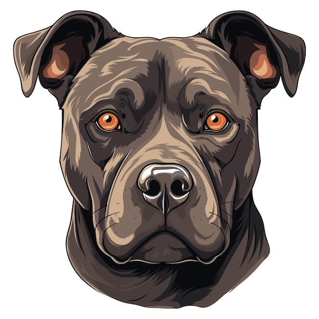 Vector staffordshire bull terrier head vector illustration