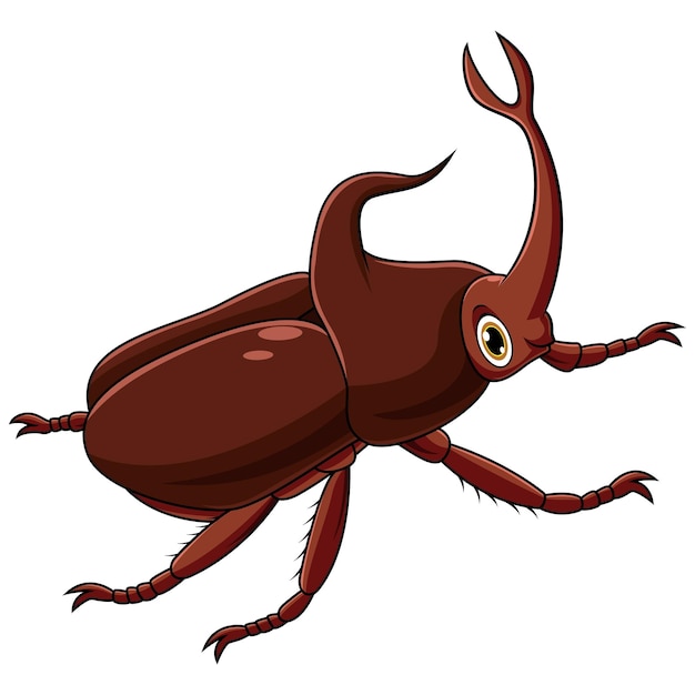 Stag beetle cartoon