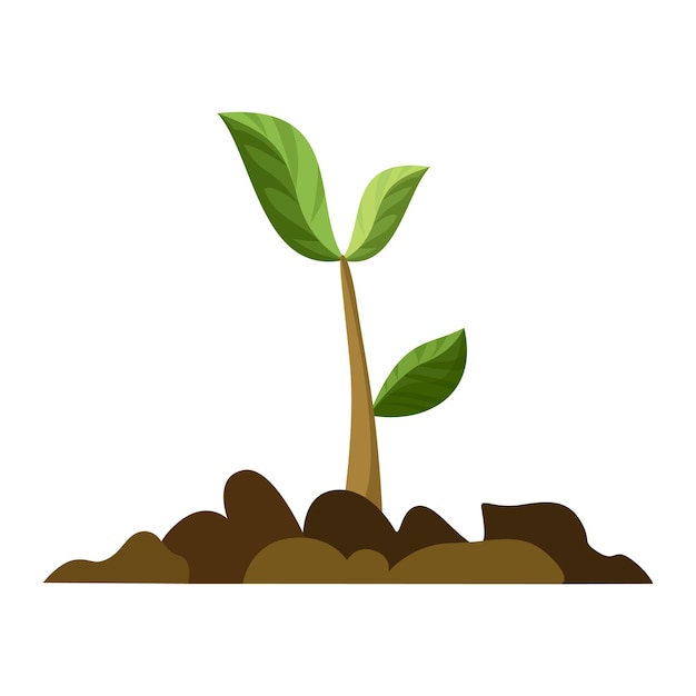 Stage of tree growth Small tree growth with green leaf and branches Illustration of business cycle development