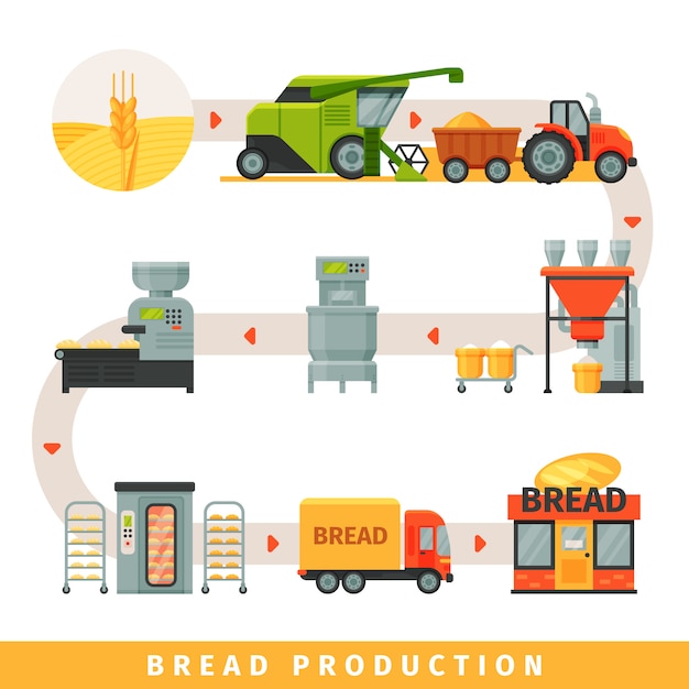 Stages of production of bread, growing cereals, harvesting, bakery equipment, delivery to shop  Illustration on a white background