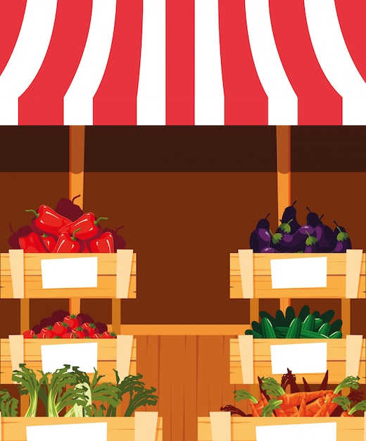 Stall kiosk of store fresh vegetables