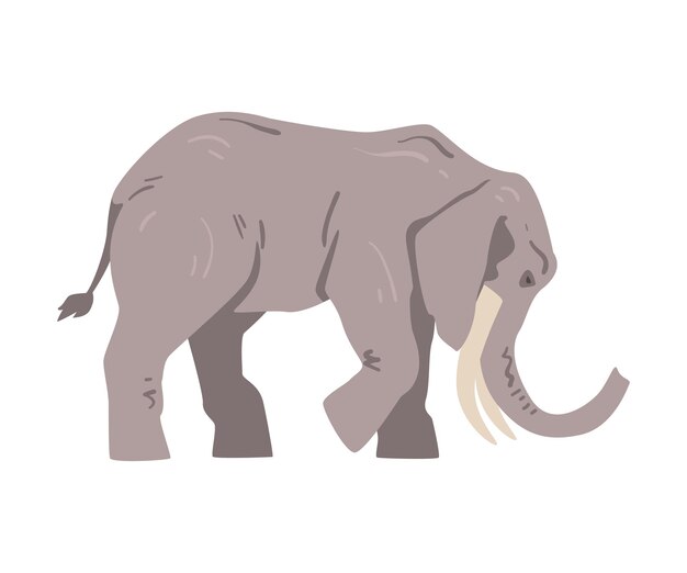 Vector standing elephant as large african animal with trunk tusks ear flaps and massive legs vector illustration