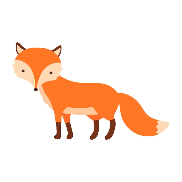 Standing fox isolated on a white background Body side view head in full face Stock vector illustration Forest animal