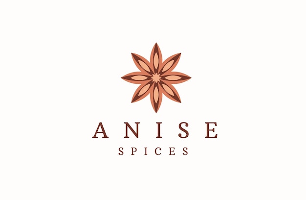 Star Anise logo icon design template flat vector