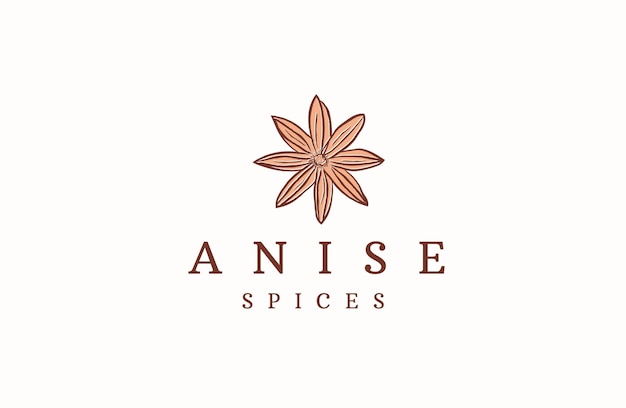 Star Anise logo icon design template flat vector