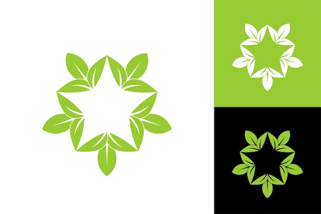 Star leaf logo template design vector