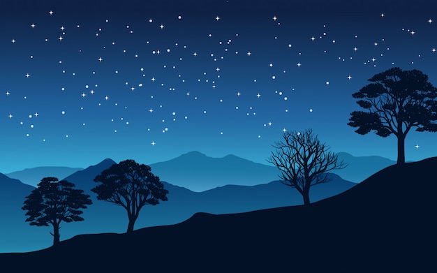 Starry night in valley with trees and mountain