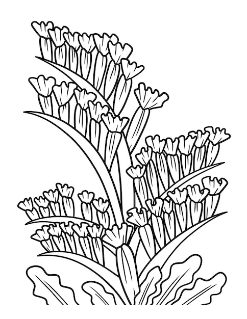 Statice Flower Coloring Page for Adults