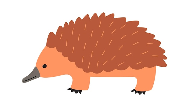 Staying Hedgehog Animal