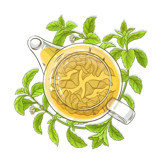 stevia tea in teapot illustration