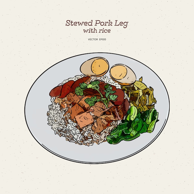 Stewed pork leg rice with egg in Brown sweet sauce, hand draw sketch .