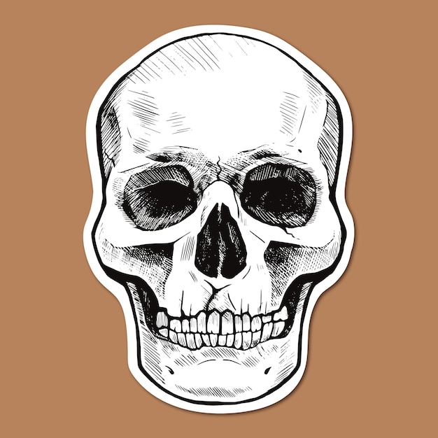 Sticker with hand drawn human skull Vector graphic illustration