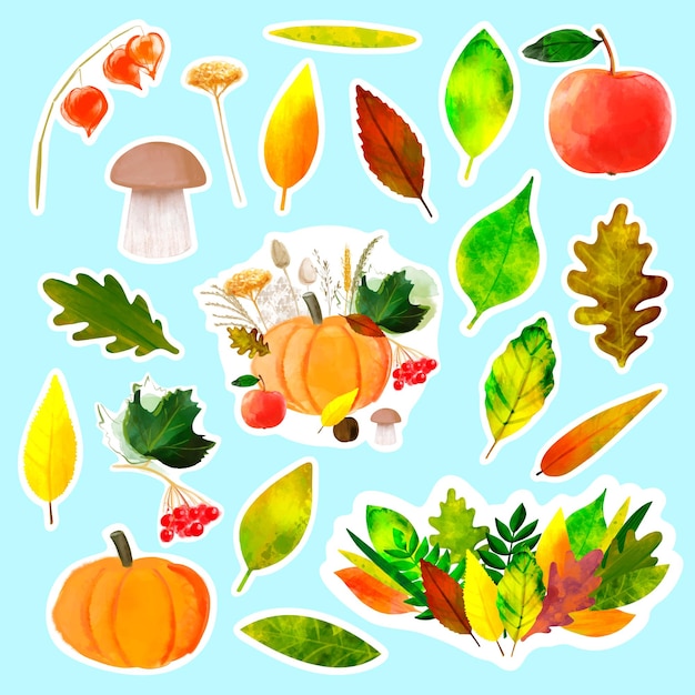 Stickers with autumn illustration with colorful leaves and autumn harvest