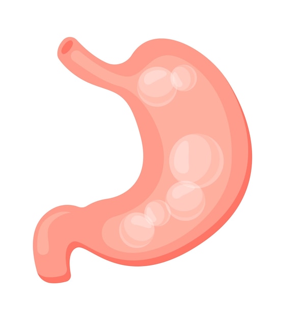 Stomach bloating flat icon Human digestive system