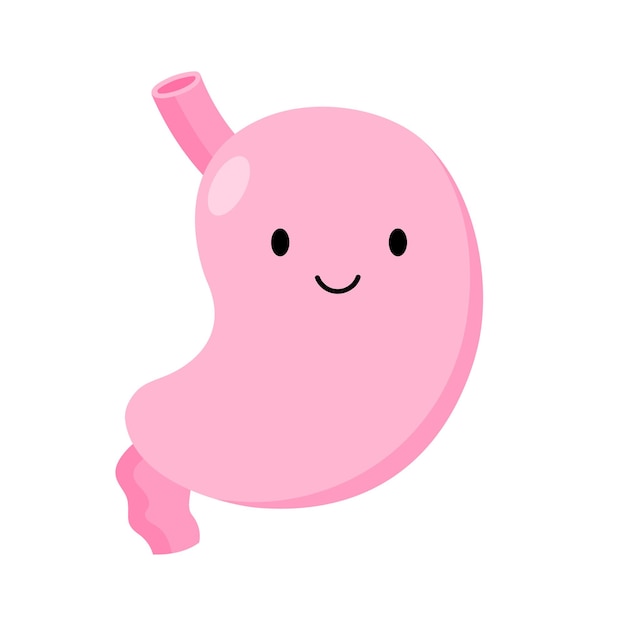 Stomach character. Cartoon internal organs. Cute gastrointestinal tract. Healthy happy stomach. 