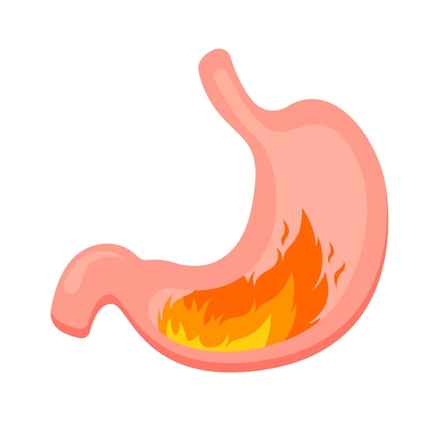 Stomach heartburn flat icon Internal organ Treatment