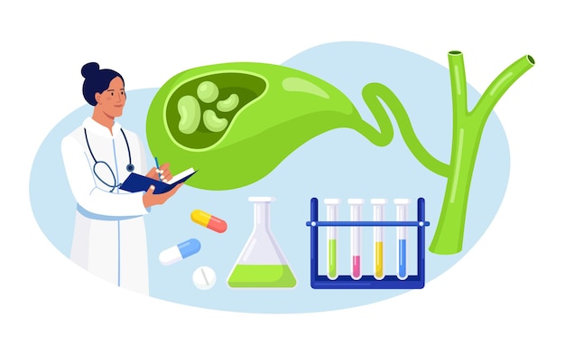 Stones in gallbladder. Gastroenterologist scientist doctor examine gall Bladder. Doctors treat gallstones. Biliary dyskinesia problems. Cholecystitis laboratory research