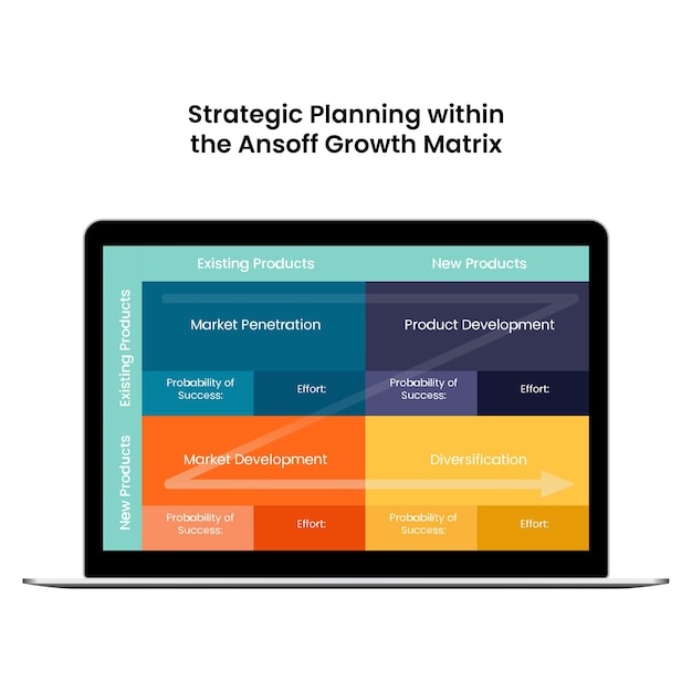 Vector strategic planning within the ansoff matrix