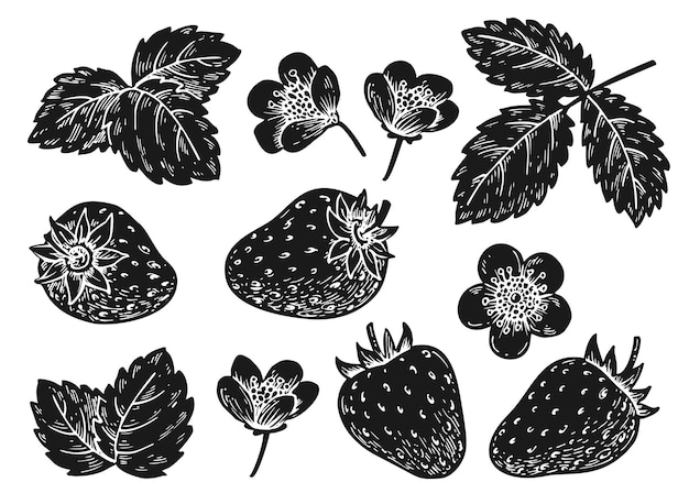 Strawberry black impression set Cartoon hand drawn black and white berries leaves flowers for scrapbooking nail stamps laser engraving stencil badge eco market label price tag overprint design