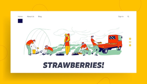 Strawberry Farm Workers Care, Picking and Loading Fresh Berries Landing Page Template. Immigrants or Volunteer Characters Fertilizing and Growing Strawberry on Field. Linear People Vector Illustration