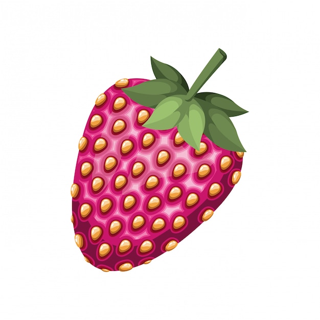 Strawberry fruit isolated icon