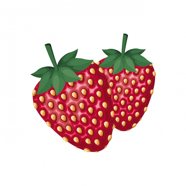 Strawberry fruit isolated icon