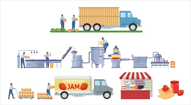 Strawberry jam production vector infographic. Fruit harvest. Factory processing line, distribution, sale. food industry.