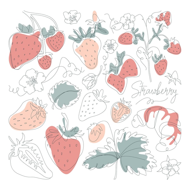 Vector strawberry in line art tasty organic sweet red berries harvesting of natural vitamin croissant with jam