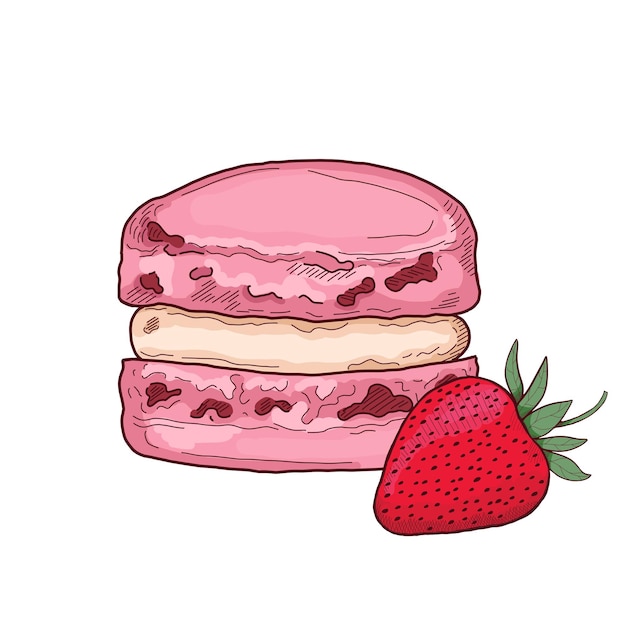 Strawberry Macaron French Pastry Pattiserie Cake Colorful Vector Illustration