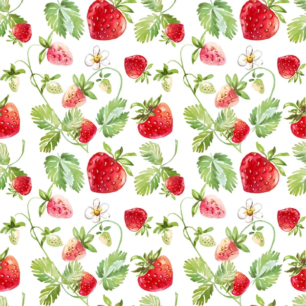 Strawberry seamless pattern Vector