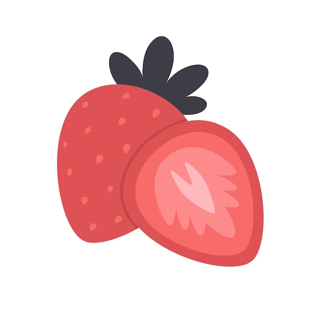 Strawberry and slice of strawberry Vector illustration