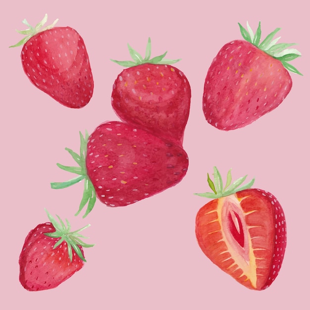 Strawberry watercolor fruit background