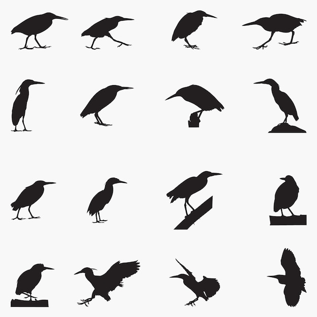 Striated heron Silhouettes illustration