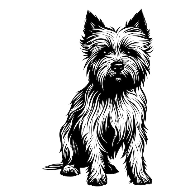 Vector a striking silhouette of a cairn terrier captured in a classic black and white style