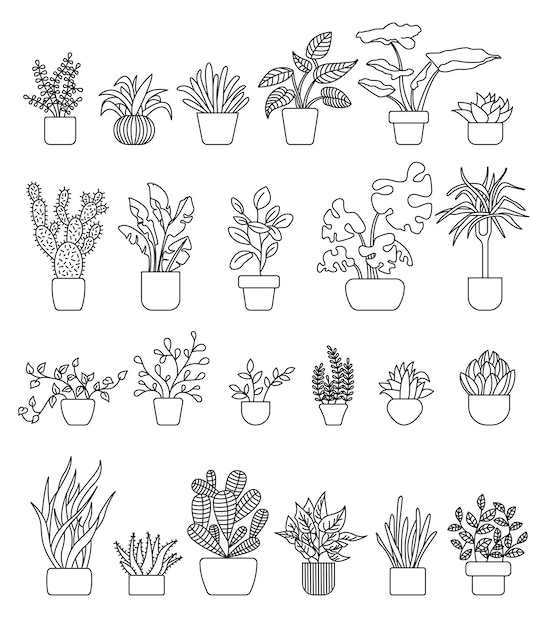 Stroke vector houseplants in pots set