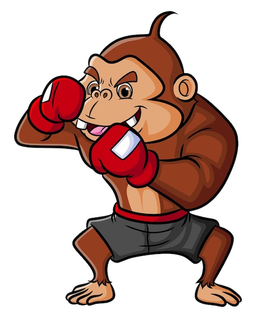 The strong chimpanzee as the professional boxer