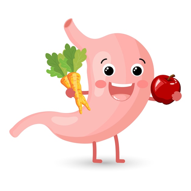 Strong healthy happy stomach with carrot and apple. Flat cartoon illustration icon design. Digestive