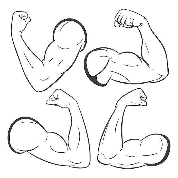 Strong power muscle arms vector illustration