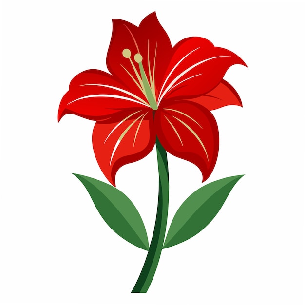 Stunning Amaryllis Flower Vector Illustration HighQuality Floral Art Design