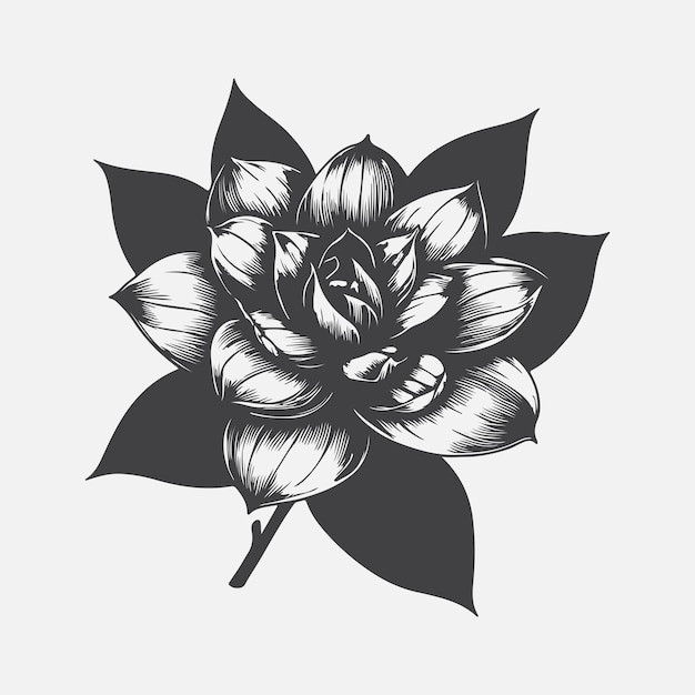 Stunning Gardenia Flower Silhouette Designs