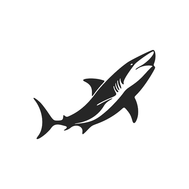 Stylish black and white vector logo design featuring a strong shark