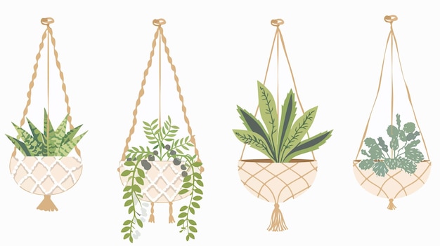 Stylish Hand Drawn Macrame Plant Hangers for Growing Plants in Pots