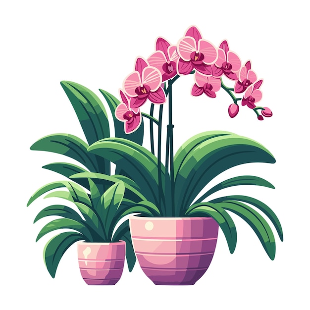 Vector stylized illustration of home plant in a pot pink orchid