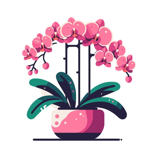 Vector stylized illustration of home plant in a pot pink orchid