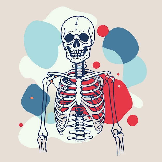 Vector a stylized illustration of a human skeleton with colorful background shapes