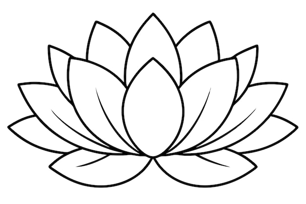 Stylized Lotus Flower Line Art Beautiful Flower Sketches